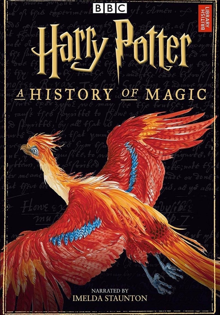 Harry Potter, une histoire de la magie en streaming